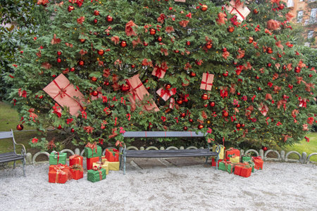 Christmas decorations on a tree in a city parkの写真素材