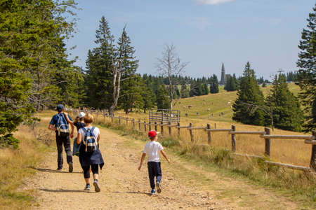 Family with small children hiking outdoors in summer nature, walking in Rogla, Sloveniaの写真素材