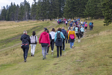Big group of people walking by hiking trailの写真素材