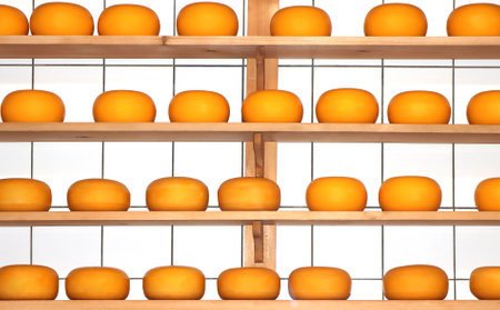 Yellow round Cheeses riping on the shelvesの写真素材