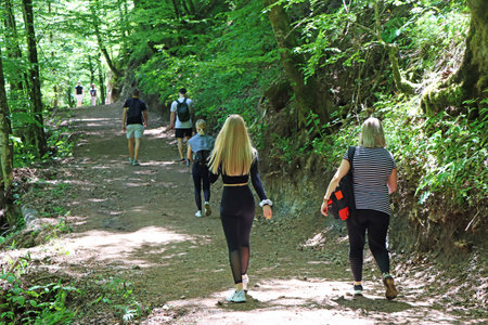 Group young girls hiking together through a forestの写真素材