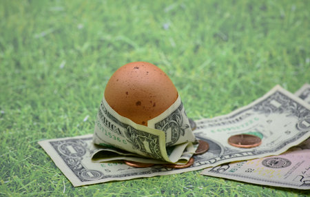 Brown egg wrapped in one dollar bill depicting rising food costs