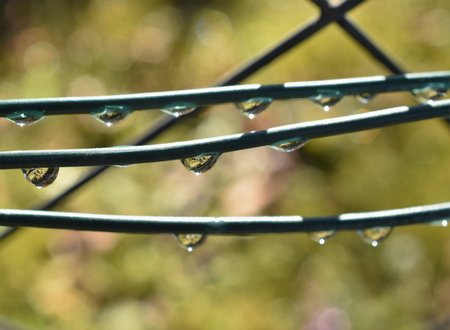 Waterdrop on Christmas decoration electric wire after rainの写真素材