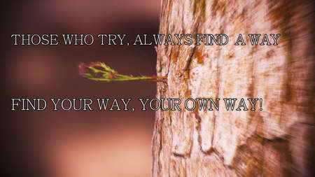 Those who try will find a way motivational posterの写真素材