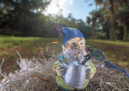 A garden gnome is feeding a dragon flyの写真素材