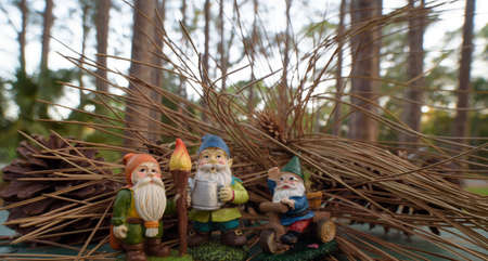 Three little Gnome friends on a camping tripの写真素材