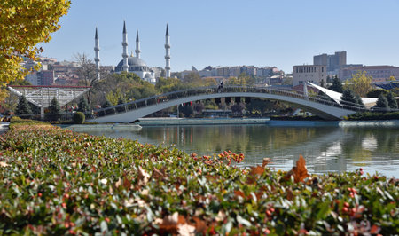 Ankara, Turkey, October 2022 - Fall as seen from Youth park with Pyracantha Coccinea in the foreground and mosque in backのeditorial素材