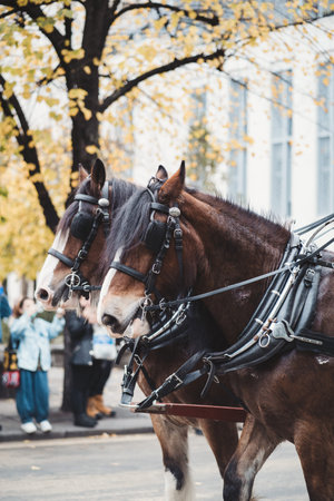 London, UK - 2021.11.13:  Worshipful Company of Coachmakers & Coach Harness Makers at Lord Mayors of...