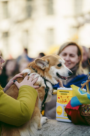 Downing Street, London | UK -  2022.03.19: Ukrainian people protest, thousands gather to demand tougher sanctions on Russia from British Government, EU and USA to stop the war in Ukraineのeditorial素材