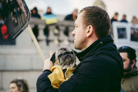 Trafalgar Square, London | UK -  2022.03.20: Beautiful dog at the Ukrainian protest against russian invasionのeditorial素材