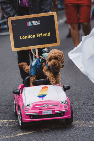 London / UK - 02/07/2022: People with flags and banners celebrating London LGBTQ Pride Parade