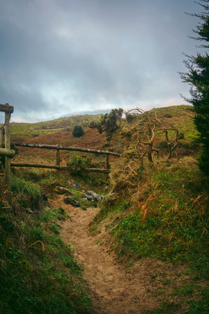 A beautiful path that leads through sand dunes in western Jersey backing the southern end of St...