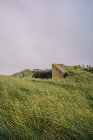 A beautiful path that leads through sand dunes in western Jersey backing the southern end of St...