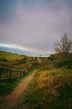 A beautiful path that leads through sand dunes in western Jersey backing the southern end of St...