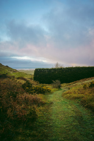 A beautiful path that leads through sand dunes in western Jersey backing the southern end of St...