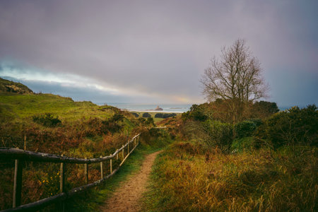 A beautiful path that leads through sand dunes in western Jersey backing the southern end of St...