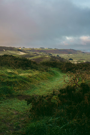 A beautiful path that leads through sand dunes in western Jersey backing the southern end of St...
