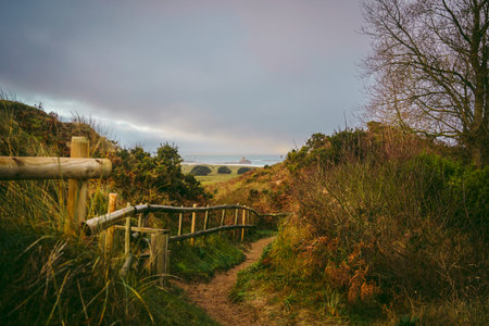A beautiful path that leads through sand dunes in western Jersey backing the southern end of St...