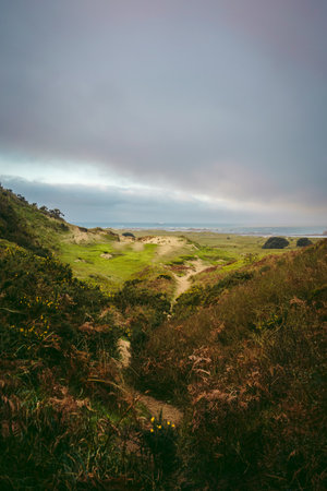 A beautiful path that leads through sand dunes in western Jersey backing the southern end of St Ouen's Bayの写真素材