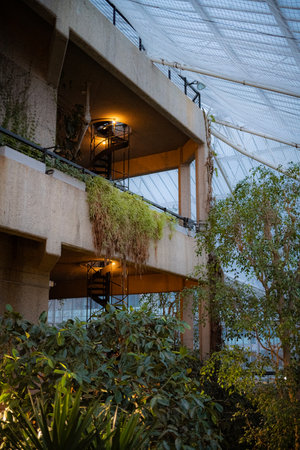 The views inside the Barbican Conservatory Glass-roofed, leafy sanctuary features tropical plants and trees, birdlife and exotic fishの写真素材