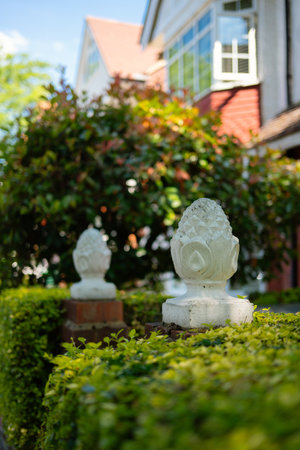 Chiswick, London, UK â 2025.06.13: Two decorative white stone garden ornaments placed on top of a lush green hedge, with a suburban house and colorful foliage in the background on a sunny summer day.の写真素材