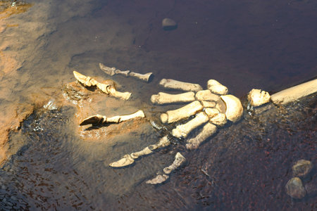 Prehistoric Dinosaur Clawsの写真素材