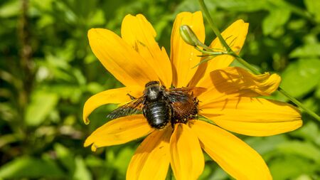 Restingの写真素材