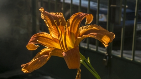 Last sun of the dayの写真素材