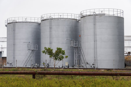 Three interconnected industrial storage tanks stand prominently in an outdoor facility, surrounded by tall grasses and under an overcast sky, indicating potential rain.の写真素材