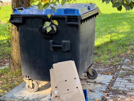 A black and blue garbage bin sits on a pathway next to a tree. A cardboard box leans against it.