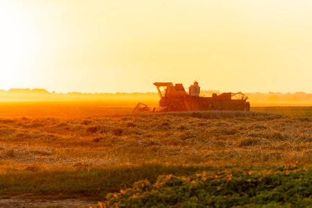 An agricultural harvester efficiently gathers crops in a vast field during sunset, casting a warm glow over the surrounding landscape. The machinery stands out against the horizon.の写真素材