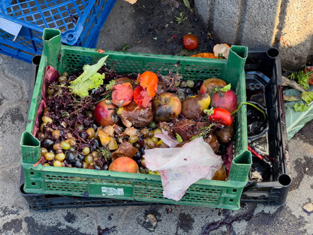 A green crate overflowing with decaying fruits and vegetables sits on a concrete surface, surrounded...