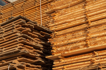 Sunlight shines on neatly stacked timber planks at a sawmill. Various sizes of wooden lumber are organized for drying, showcasing the natural grain and texture of the wood.の写真素材