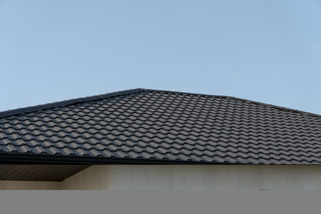 This composition highlights the elegant texture of a contemporary roof adorned with stylish tiles...