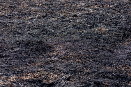 Blackened terrain reveals the devastation caused by fire, leaving burnt grass and evidence of destruction spread across the land.の写真素材