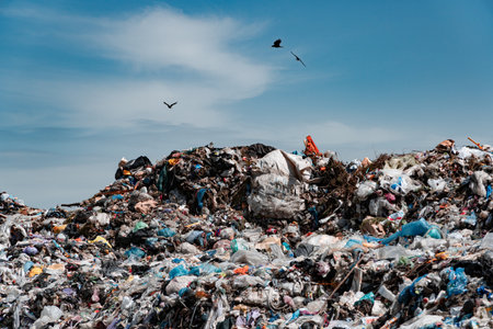 Garbage landfill. A large pile of garbage at the landfill. Seagulls fly over the garbage.の写真素材