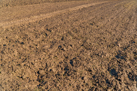 Agricultural plowed field. Plough agriculture field before sowing.