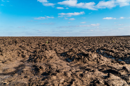 Landscape agricultural plowed in after winter field on sunny day. Field soil close up..の写真素材