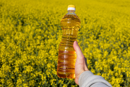 A vibrant rapeseed field displays bright yellow flowers while a hand holds a bottle of canola oil, showcasing nature's bounty.の写真素材