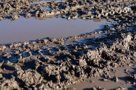 Damp ground shows uneven, muddy patches with visible puddles reflecting sunlight following recent...