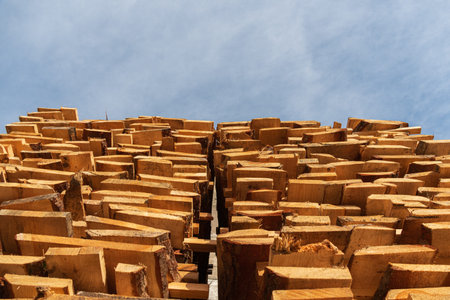 A close view of neatly arranged wood stacks showing various shapes and sizes in natural sunlight...