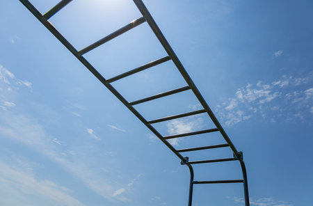 Athletes engage in training on a parallel horizontal bar, showcasing strength and skill while...
