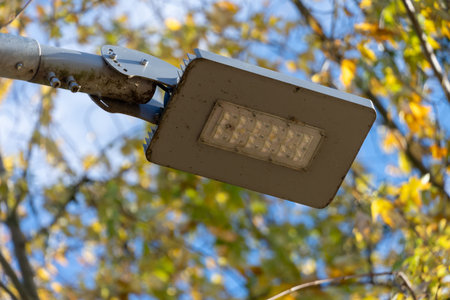 Bright street light shines down through colorful autumn leaves, providing warmth to the park on a...