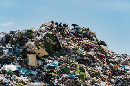 A large mountain of garbage fills the landfill, illustrating the severe waste issue affecting the environment as black birds gather nearby.の写真素材