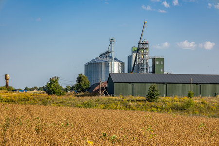 Tall silos and a granary form the backdrop of a golden grain field, showcasing agricultural storage infrastructure on a sunny day.の写真素材
