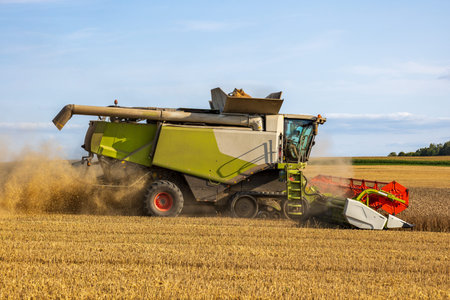 A large harvester moves through a field, efficiently collecting harvested crops under a clear blue...