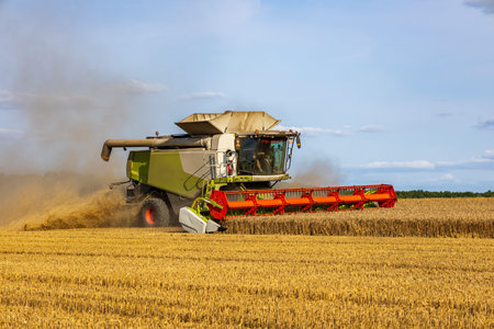 A powerful harvester cuts through golden wheat in a vast field as dust clouds rise under a clear...
