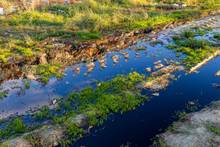 Water filled with pollution and garbage poses a serious threat to the local environment and...