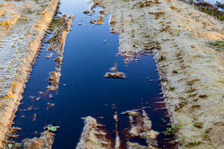Water collects in tire tracks, reflecting pollution and waste from nearby environments and highlighting the damage to local ecosystems.の写真素材