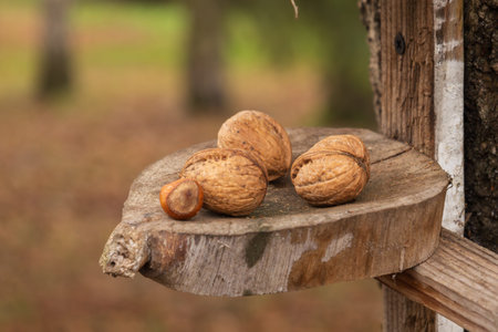 Walnuts rest on a wooden shelf.